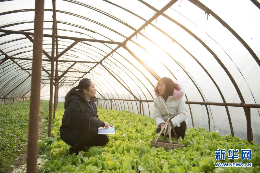 2020年12月30日，紀檢監(jiān)察干部（左）在浙江湖州吳興區(qū)埭溪鎮(zhèn)璞心農(nóng)場走訪農(nóng)業(yè)大戶，核實涉農(nóng)補貼發(fā)放和幫扶政策落實情況。新華社記者 翁忻旸 攝